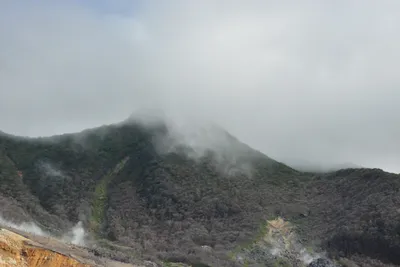 DSC_3698 (Large).JPG